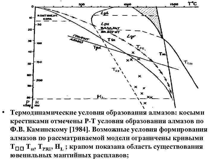  • Термодинамические условия образования алмазов: косыми крестиками отмечены Р-Т условия образования алмазов по