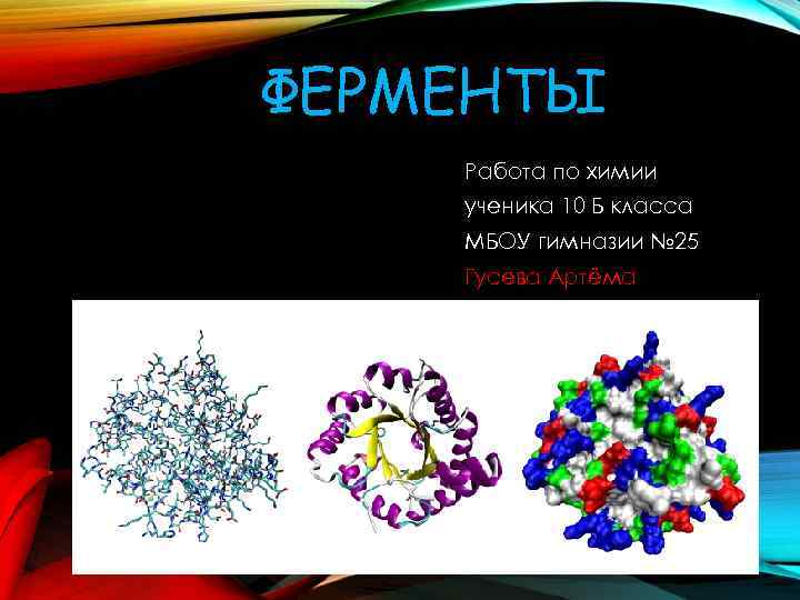 Презентация по теме ферменты