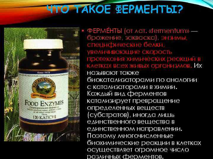 ЧТО ТАКОЕ ФЕРМЕНТЫ? • ФЕРМЕ НТЫ (от лат. «fermentum» — брожение, закваска), энзимы, специфические