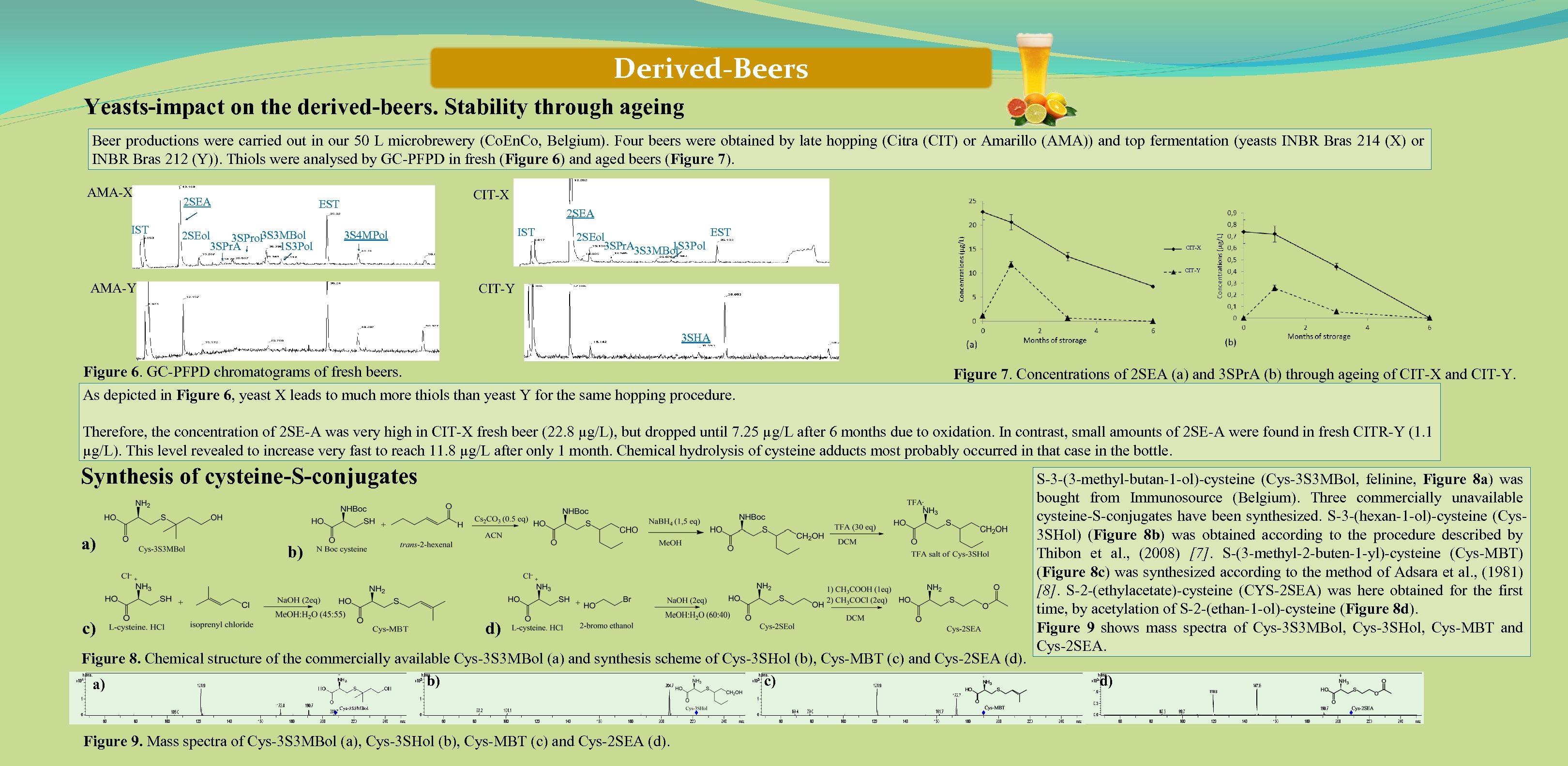 Derived-Beers Yeasts-impact on the derived-beers. Stability through ageing Beer productions were carried out in