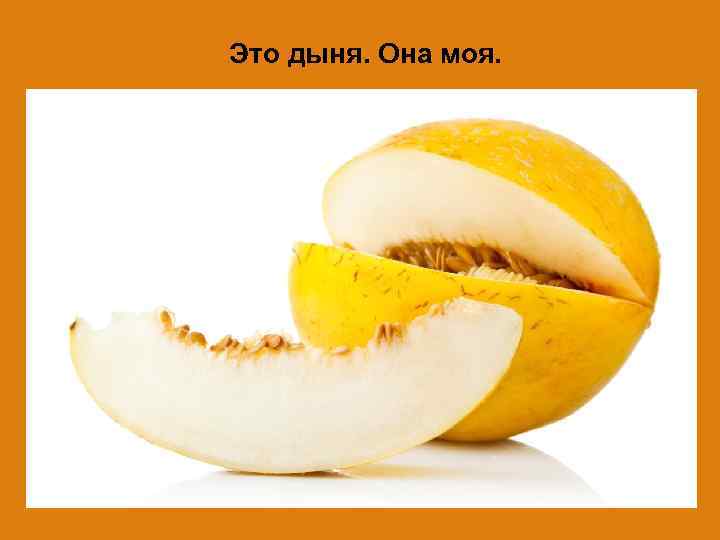 Это дыня. Она моя. 