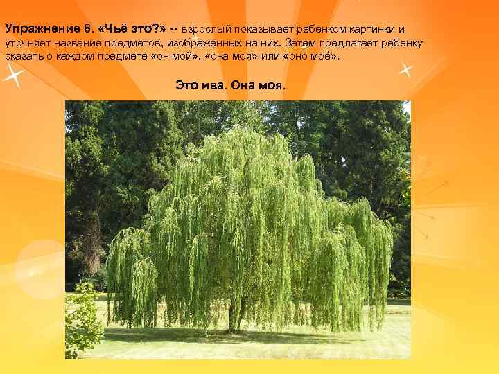 Упражнение 8. «Чьё это? » -- взрослый показывает ребенком картинки и уточняет название предметов,