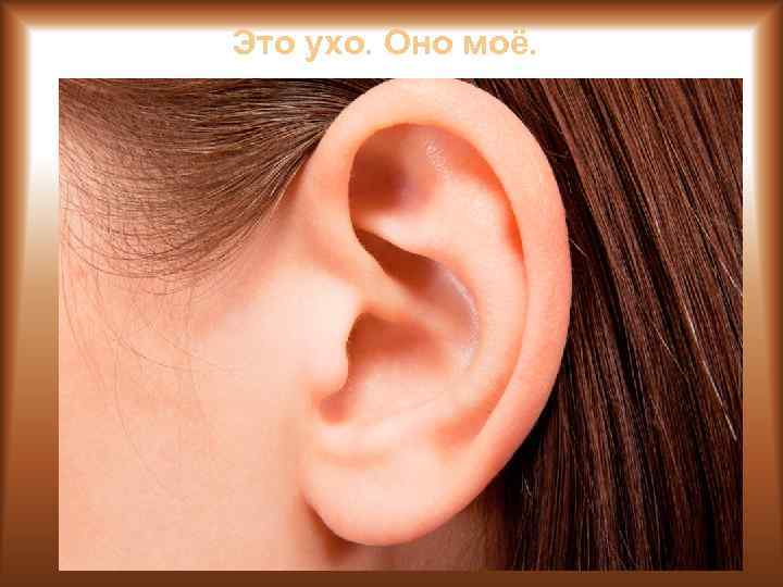 Это ухо. Оно моё. 