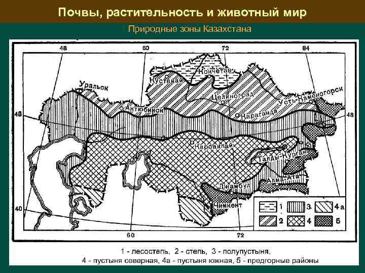 Почвы, растительность и животный мир Природные зоны Казахстана 