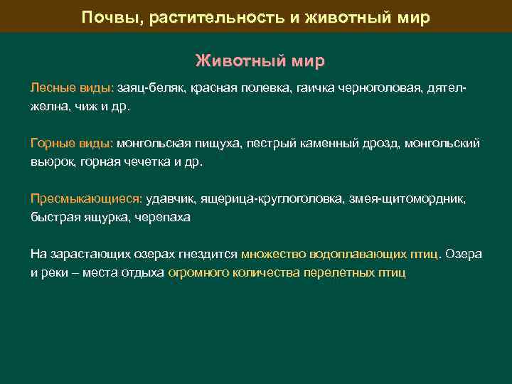 Почвы, растительность и животный мир Животный мир Лесные виды: заяц-беляк, красная полевка, гаичка черноголовая,