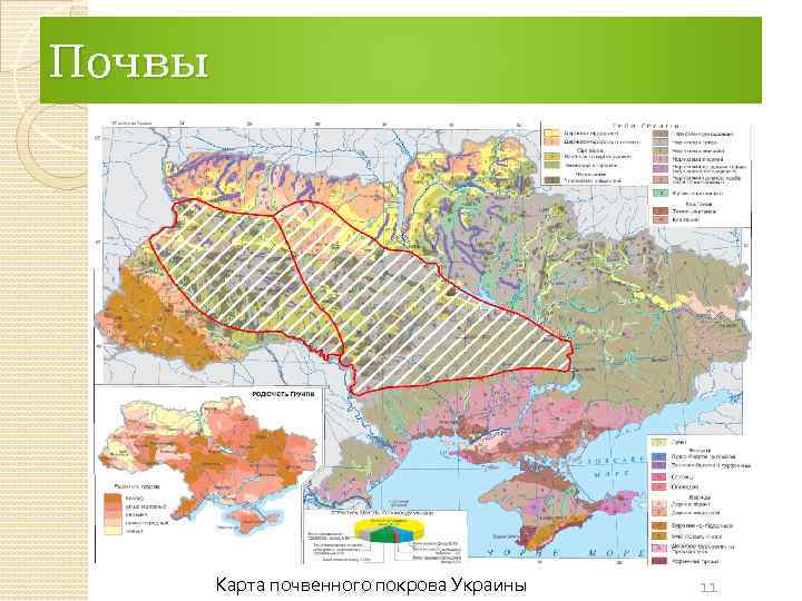 Почвы Карта почвенного покрова Украины 11 