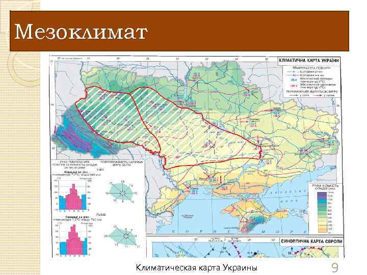 Мезоклимат Волыно-Подольская возвышенность (умеренно континентальный климат): Ø зима мягкая, лето тёплое. Средняя температура января