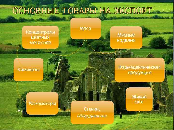 ОСНОВНЫЕ ТОВАРЫ НА ЭКСПОРТ Концентраты цветных металлов Мясо Мясные изделия Фармацевтическая продукция Химикаты Живой