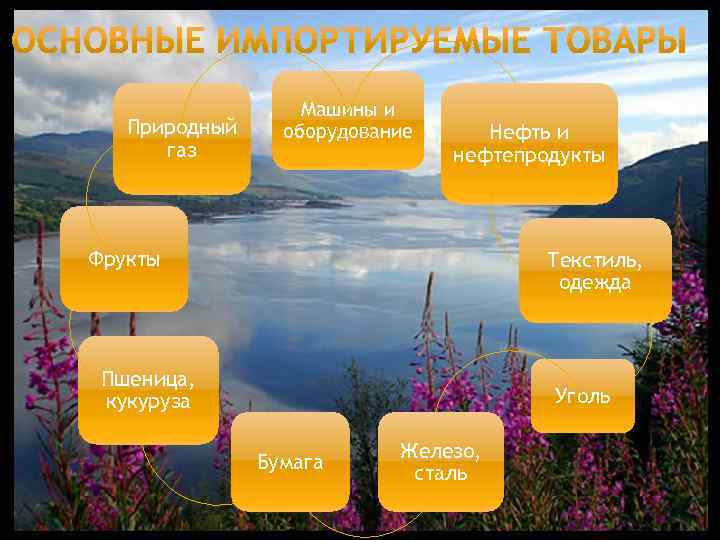 Природный газ Машины и оборудование Нефть и нефтепродукты Фрукты Текстиль, одежда Пшеница, кукуруза Уголь