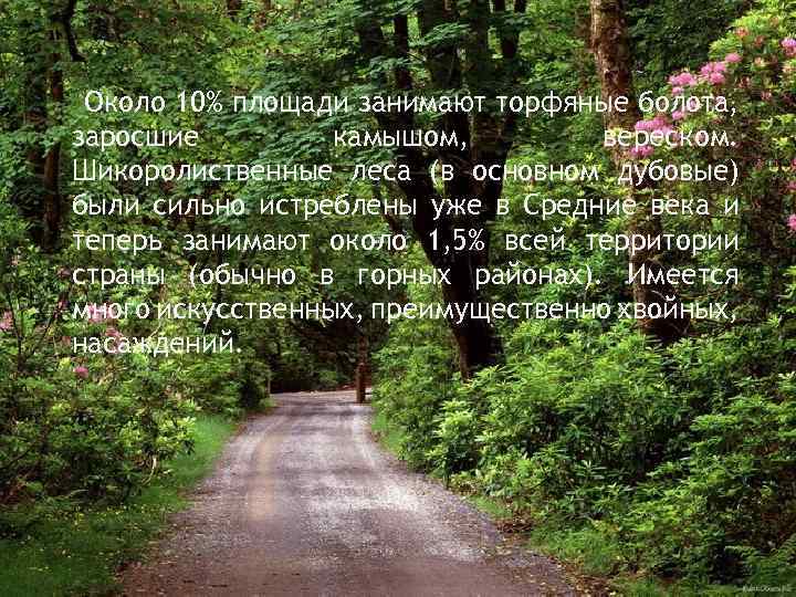 Около 10% площади занимают торфяные болота, заросшие камышом, вереском. Шикоролиственные леса (в основном дубовые)
