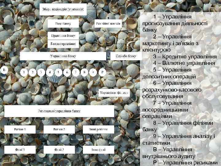 1 – Управління прогнозування діяльності банку 2 – Управління маркетингу і зв’язків з клієнтурою