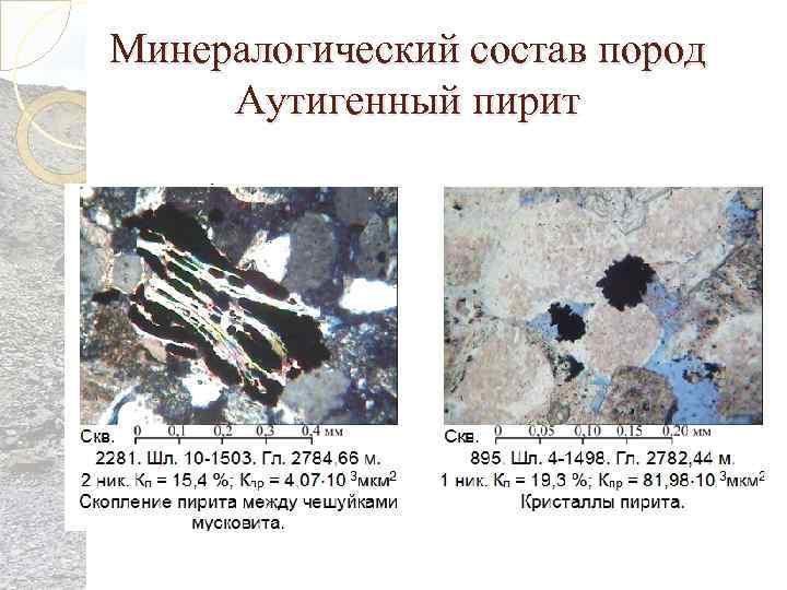 Минералогический состав пород Аутигенный пирит 