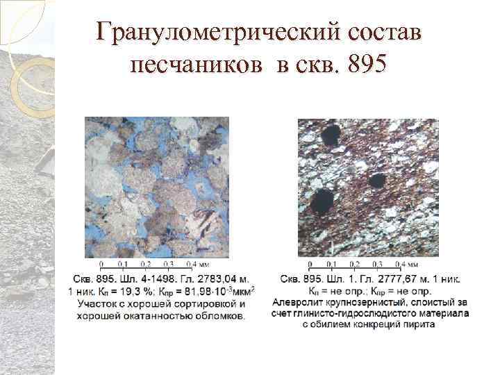 Гранулометрический состав песчаников в скв. 895 