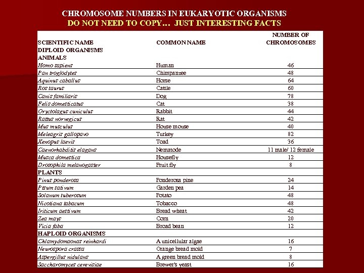 CHROMOSOME NUMBERS IN EUKARYOTIC ORGANISMS DO NOT NEED TO COPY… JUST INTERESTING FACTS SCIENTIFIC
