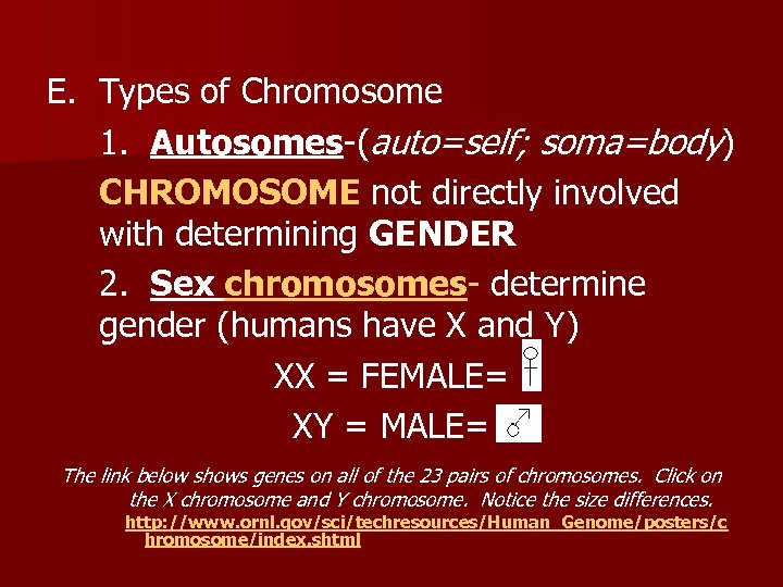 E. Types of Chromosome 1. Autosomes-(auto=self; soma=body) CHROMOSOME not directly involved with determining GENDER