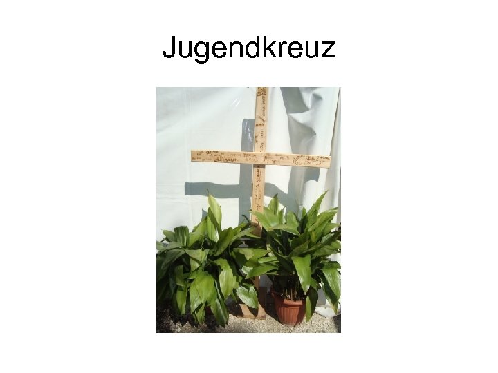 Jugendkreuz 