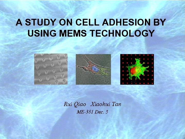 A STUDY ON CELL ADHESION BY USING MEMS TECHNOLOGY Rui Qiao Xiaohui Tan ME-381