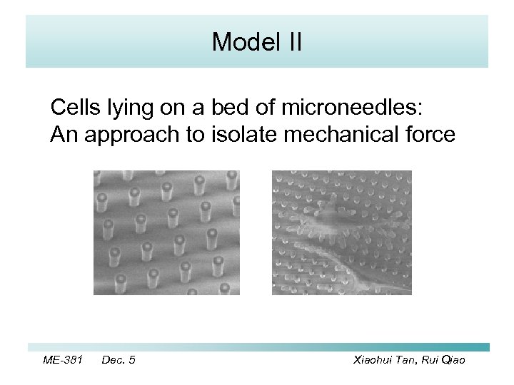Model II Cells lying on a bed of microneedles: An approach to isolate mechanical