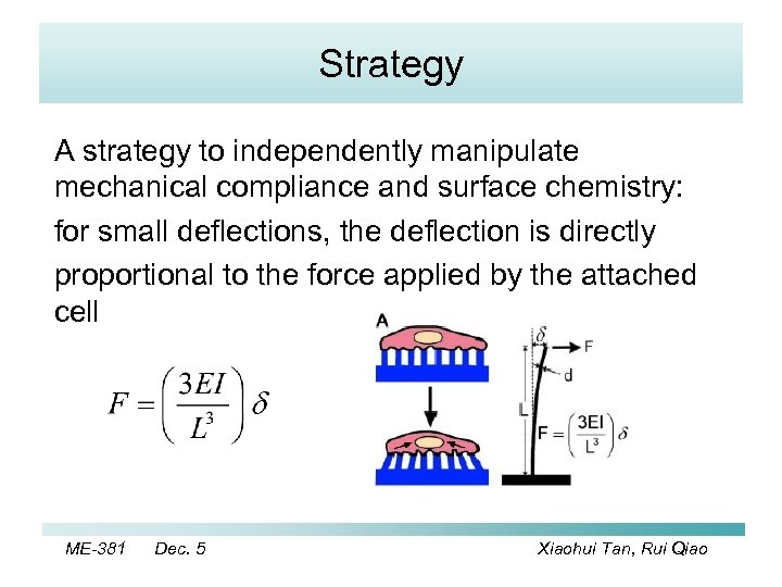Strategy A strategy to independently manipulate mechanical compliance and surface chemistry: for small deflections,