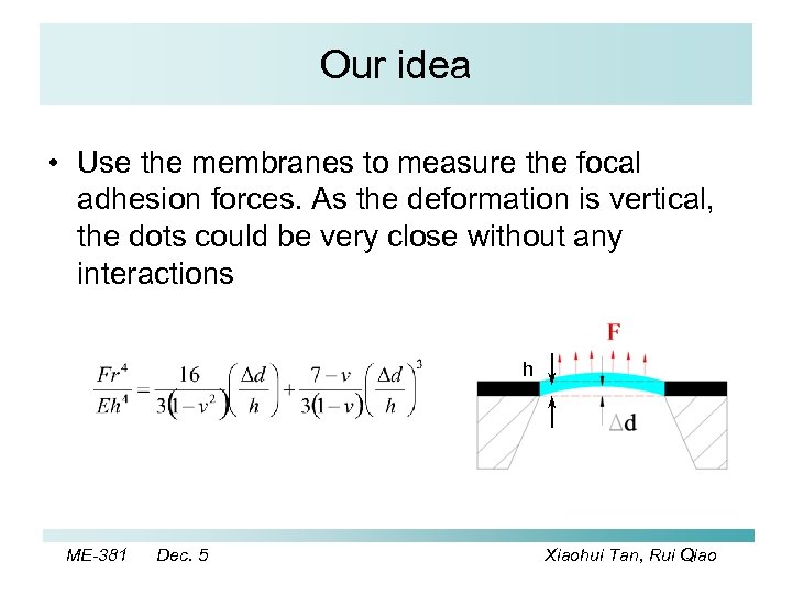 Our idea • Use the membranes to measure the focal adhesion forces. As the