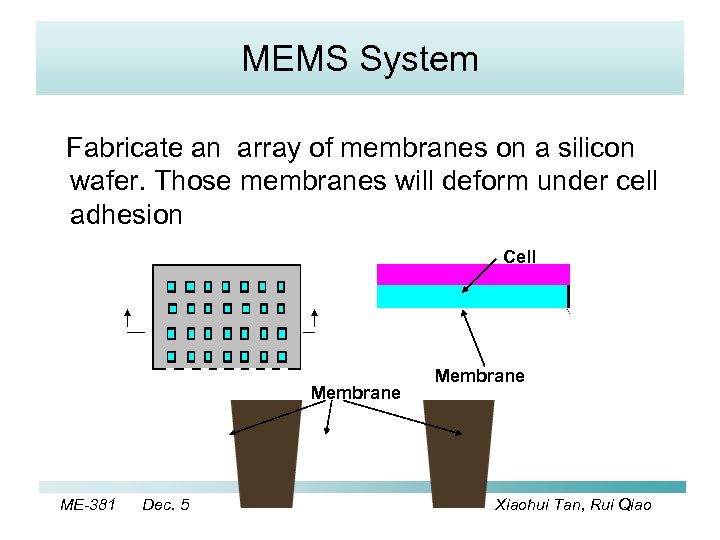 MEMS System Fabricate an array of membranes on a silicon wafer. Those membranes will