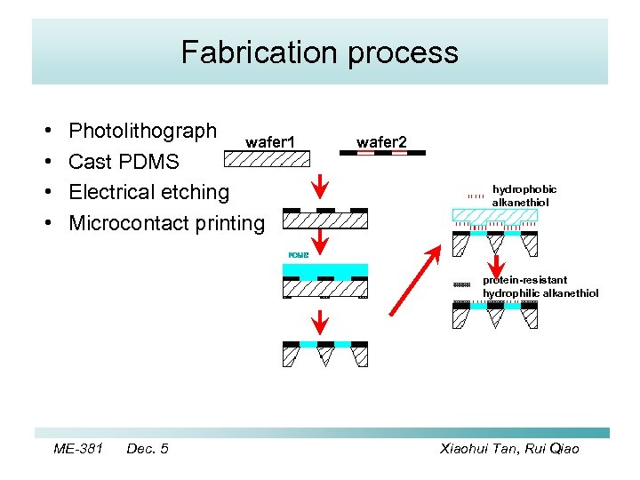 Fabrication process • • Photolithograph wafer 1 Cast PDMS Electrical etching Microcontact printing wafer