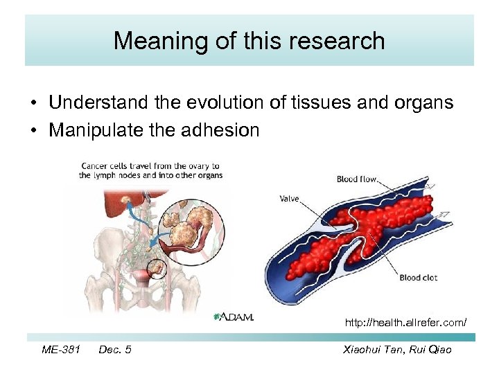 Meaning of this research • Understand the evolution of tissues and organs • Manipulate