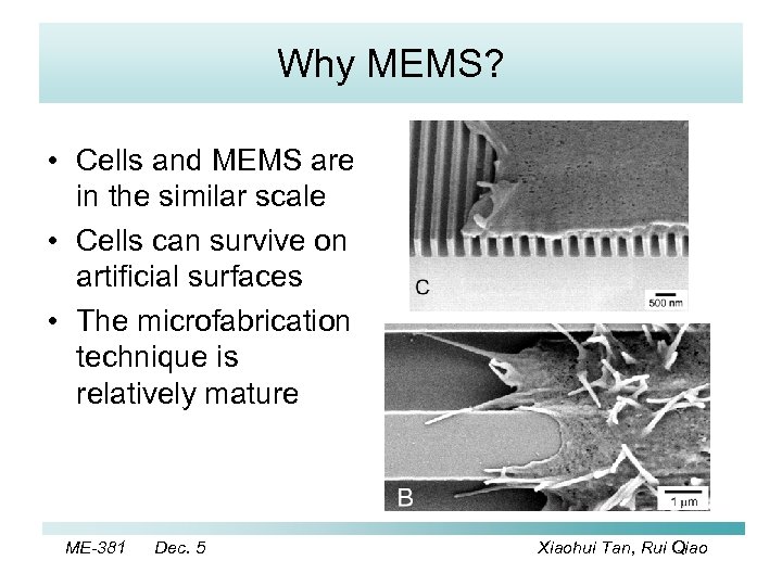 Why MEMS? • Cells and MEMS are in the similar scale • Cells can