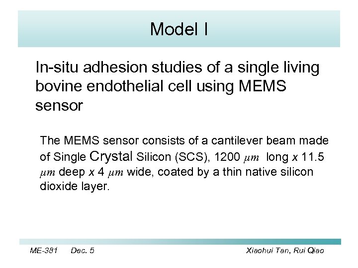 Model I In-situ adhesion studies of a single living bovine endothelial cell using MEMS