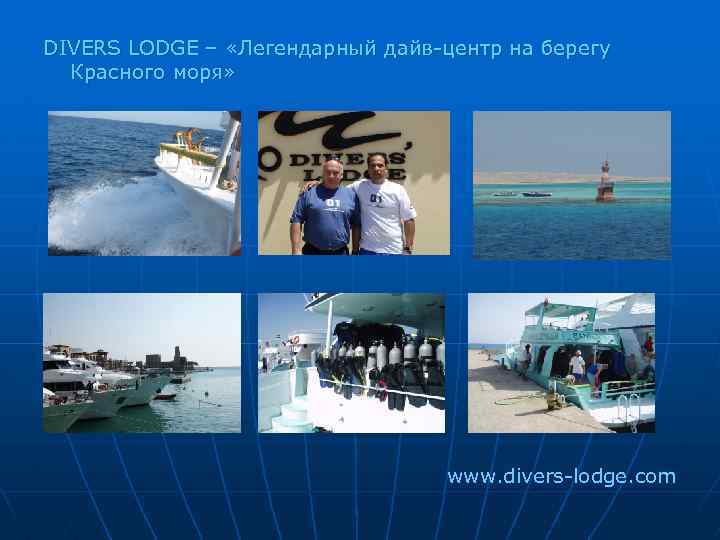 DIVERS LODGE – «Легендарный дайв-центр на берегу Красного моря» www. divers-lodge. com 