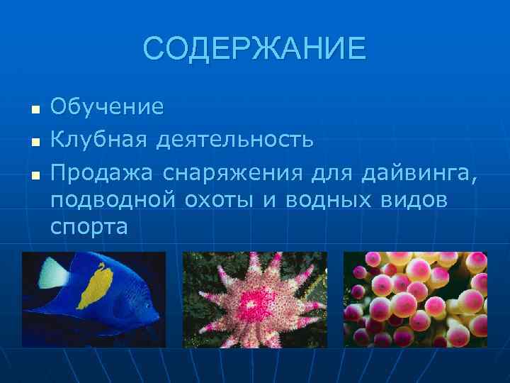 СОДЕРЖАНИЕ n n n Обучение Клубная деятельность Продажа снаряжения для дайвинга, подводной охоты и