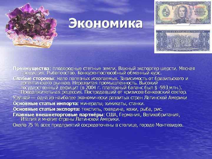 Экономика Преимущества: плодородные степные земли. Важный экспортер шерсти. Мясная продукция. Рыболовство. Конкурентоспособный обменный курс.