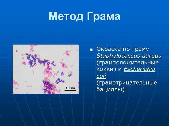 Методы окраски