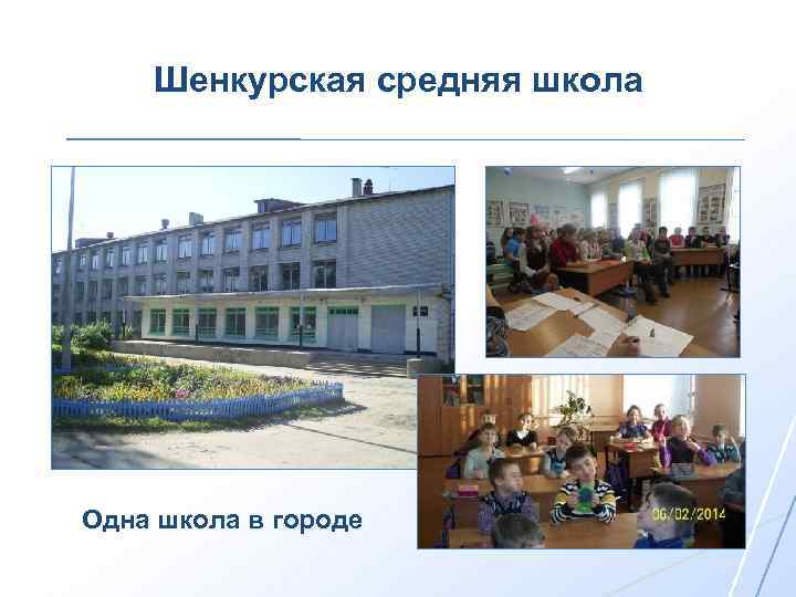 Шенкурская средняя школа Одна школа в городе 