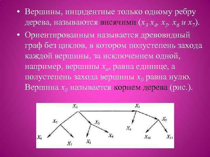  • Вершины, инцидентные только одному ребру дерева, называются висячими (х3 х4, х5, х6