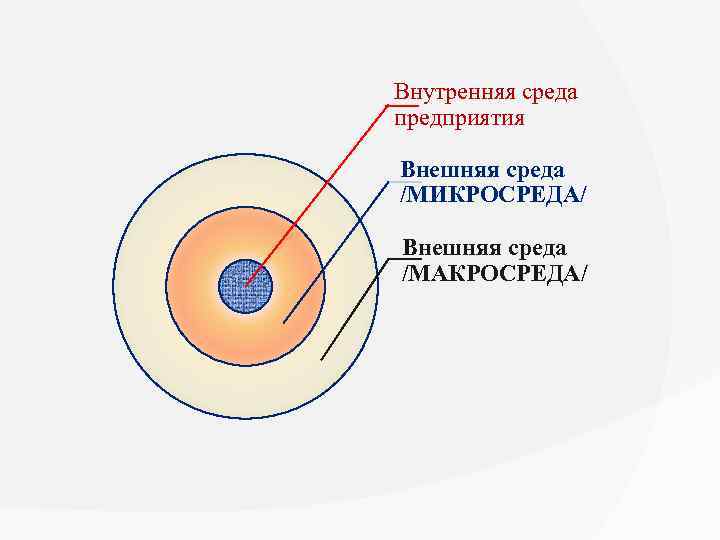 Внутренняя среда предприятия Внешняя среда /МИКРОСРЕДА/ Внешняя среда /МАКРОСРЕДА/ 