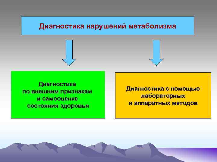 Диагностика нарушений метаболизма Диагностика по внешним признакам и самооценке состояния здоровья Диагностика с помощью
