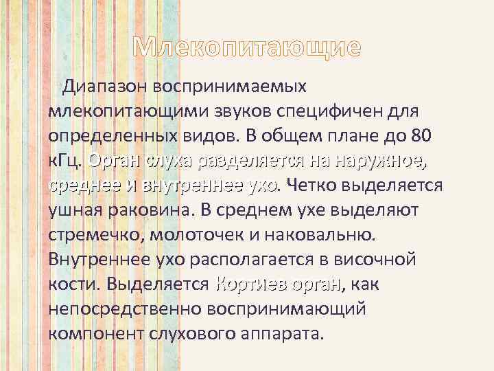 Млекопитающие Диапазон воспринимаемых млекопитающими звуков специфичен для определенных видов. В общем плане до 80