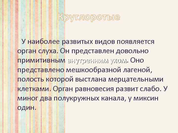 Круглоротые У наиболее развитых видов появляется орган слуха. Он представлен довольно примитивным внутренним ухом.