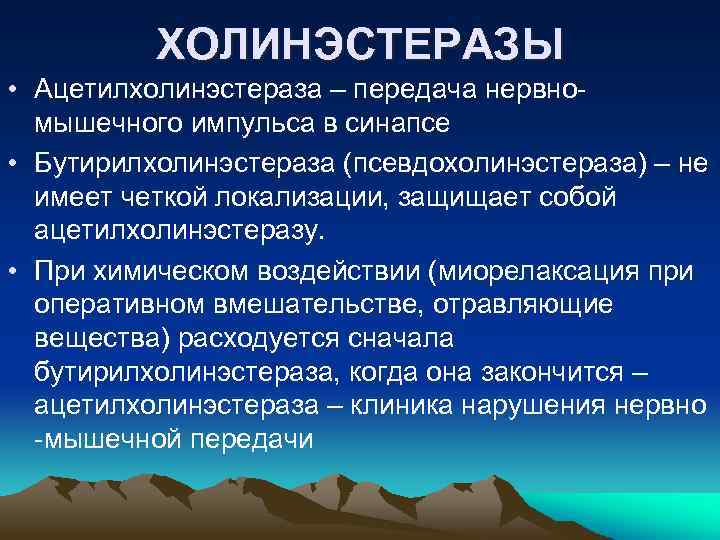 ХОЛИНЭСТЕРАЗЫ • Ацетилхолинэстераза – передача нервномышечного импульса в синапсе • Бутирилхолинэстераза (псевдохолинэстераза) – не