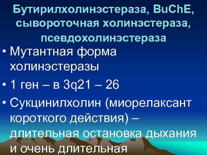 Бутирилхолинэстераза, Bu. Ch. E, сывороточная холинэстераза, псевдохолинэстераза • Мутантная форма холинэстеразы • 1 ген