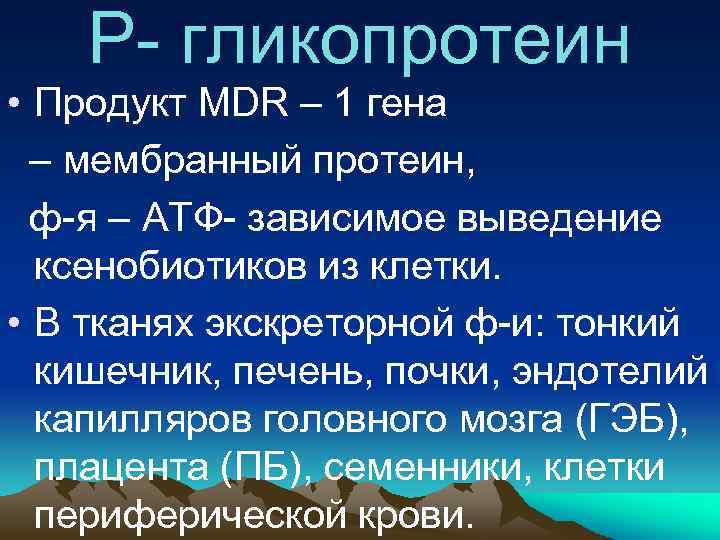 Р- гликопротеин • Продукт MDR – 1 гена – мембранный протеин, ф-я – АТФ-