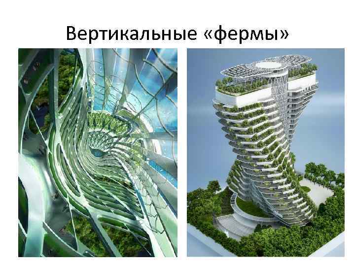 Вертикальные «фермы» 