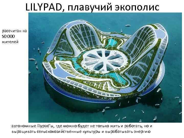 LILYPAD, плавучий экополис рассчитан на 50 000 жителей автономные lilypad’ы, где можно будет не