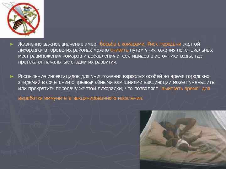 ► Жизненно важное значение имеет борьба с комарами. Риск передачи желтой лихорадки в городских