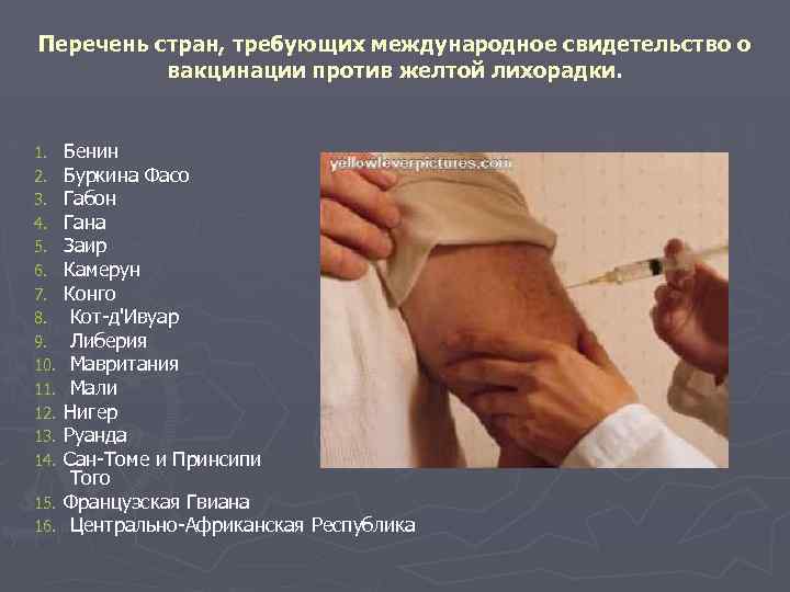 Перечень стран, требующих международное свидетельство о вакцинации против желтой лихорадки. Бенин Буркина Фасо Габон