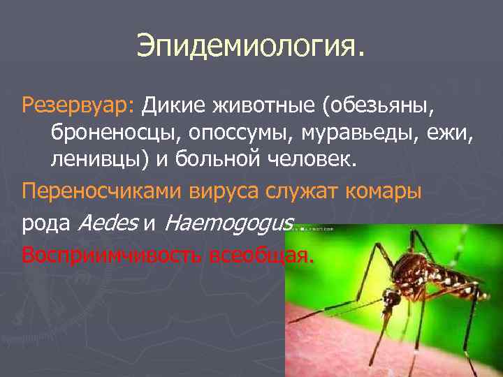 Эпидемиология. Резервуар: Дикие животные (обезьяны, броненосцы, опоссумы, муравьеды, ежи, ленивцы) и больной человек. Переносчиками