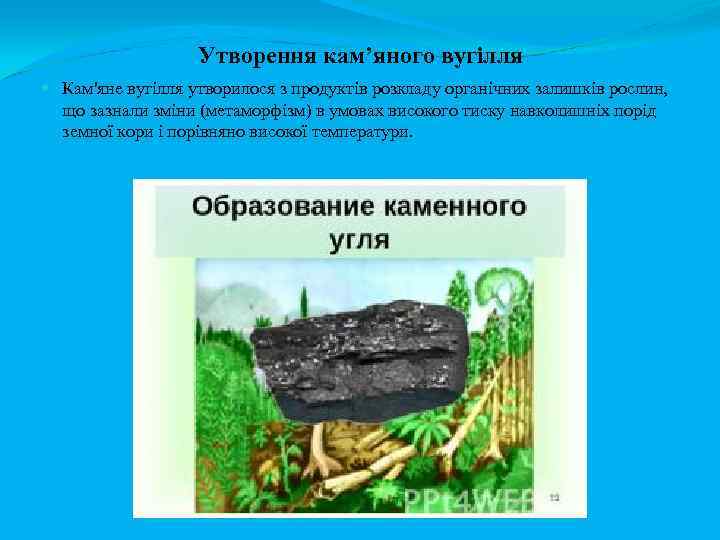 Утворення кам’яного вугілля Кам'яне вугілля утворилося з продуктів розкладу органічних залишків рослин, що зазнали