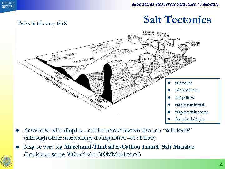 MSc REM Reservoir Structure ½ Module Twiss & Moores, 1992 Salt Tectonics l l