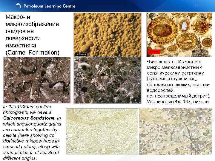 16 Макро- и микроизображения ооидов на поверхности известняка (Carmel For-mation) In this 10 X